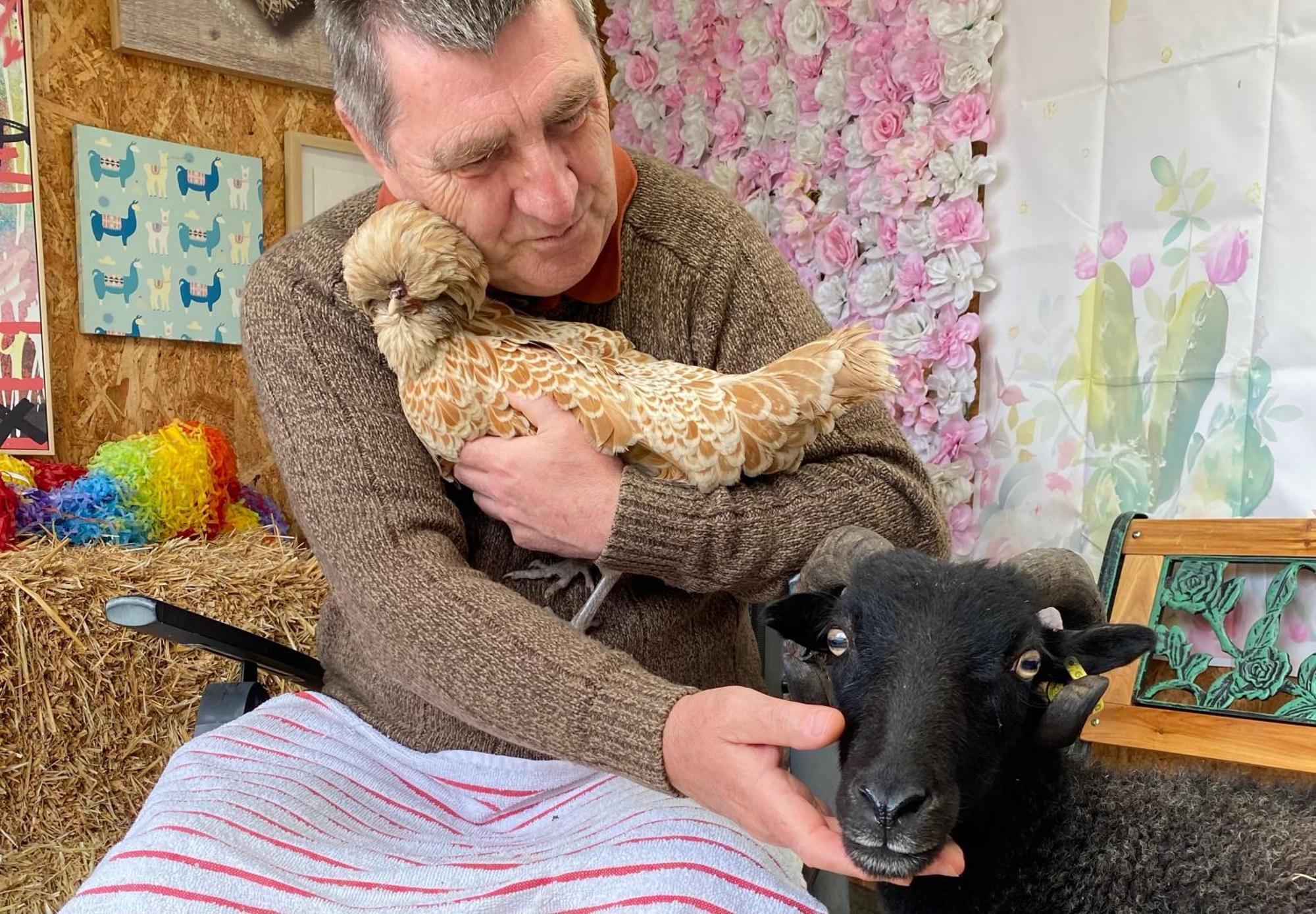 Unique Stay On An Alpaca Therapy Farm With Miniature Donkeys North Wales โมลด์ ภายนอก รูปภาพ