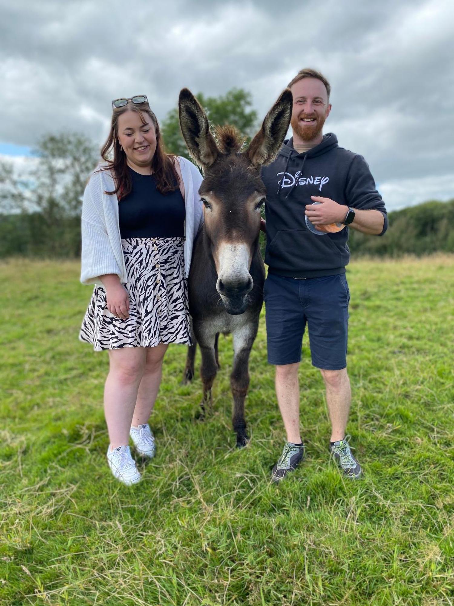 Unique Stay On An Alpaca Therapy Farm With Miniature Donkeys North Wales โมลด์ ภายนอก รูปภาพ